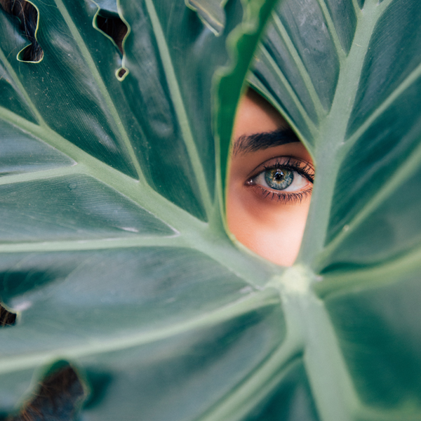 Erfolgstraining Ängste lösen