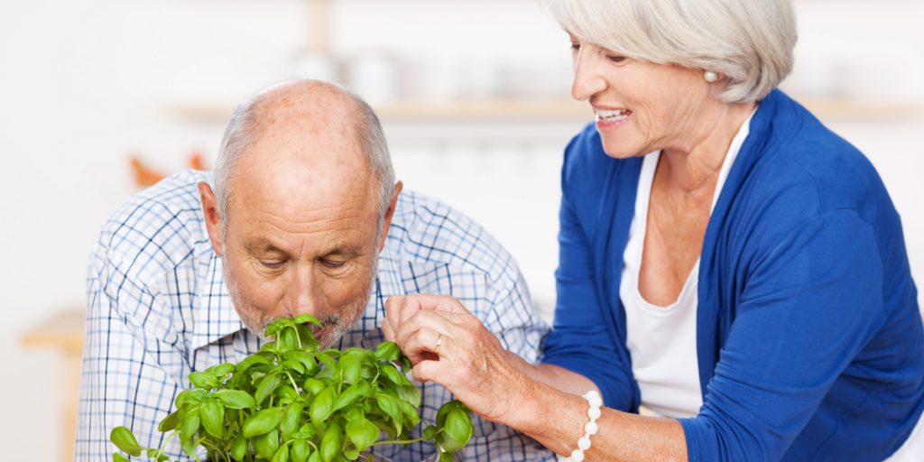Erfolgstraining Lebensqualität 70+