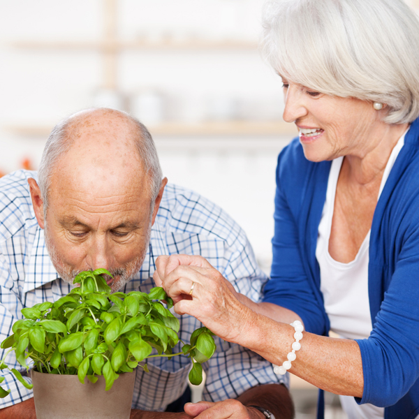 Erfolgstraining Lebensqualität 70+