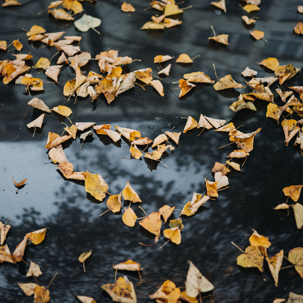 Erfolgstraining Liebe