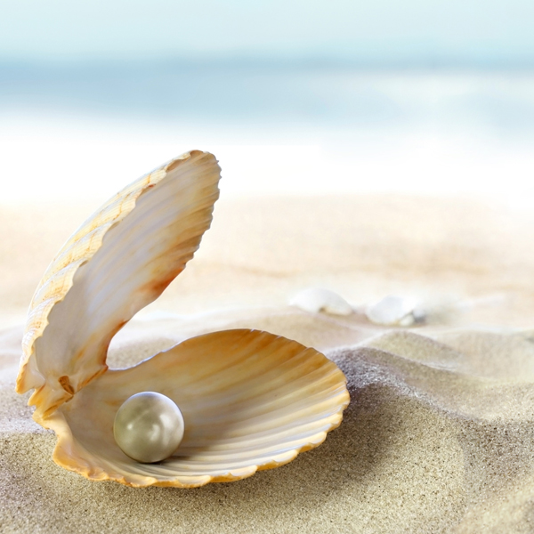 Erfolgstraining Persönlichkeitsentwicklung