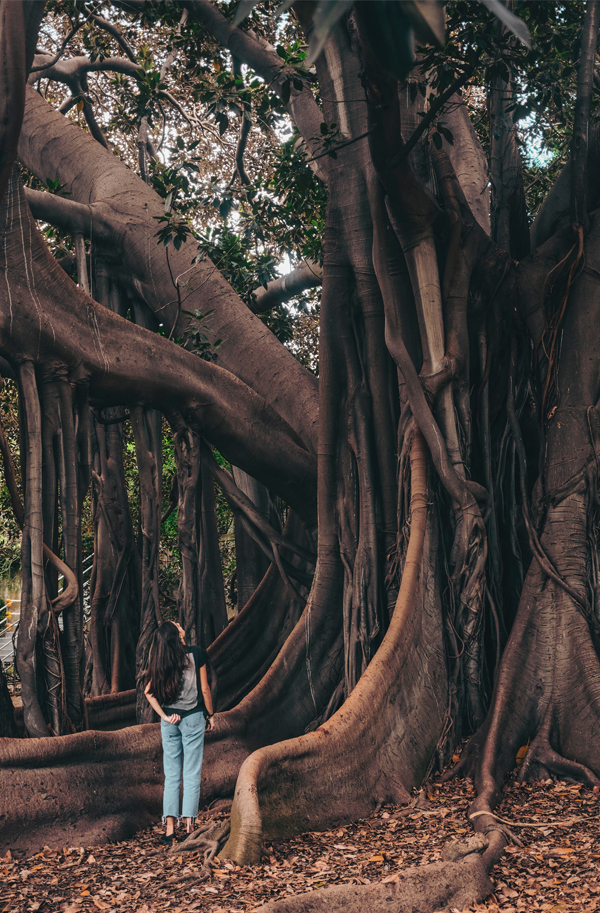 Erfolgstraining Spiritualität